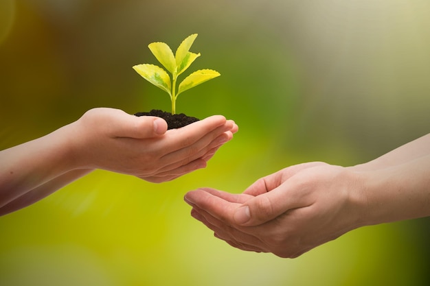 CSR Bukan Sekadar Tanggung Jawab: Strategi Bisnis Menuju Keberlanjutan