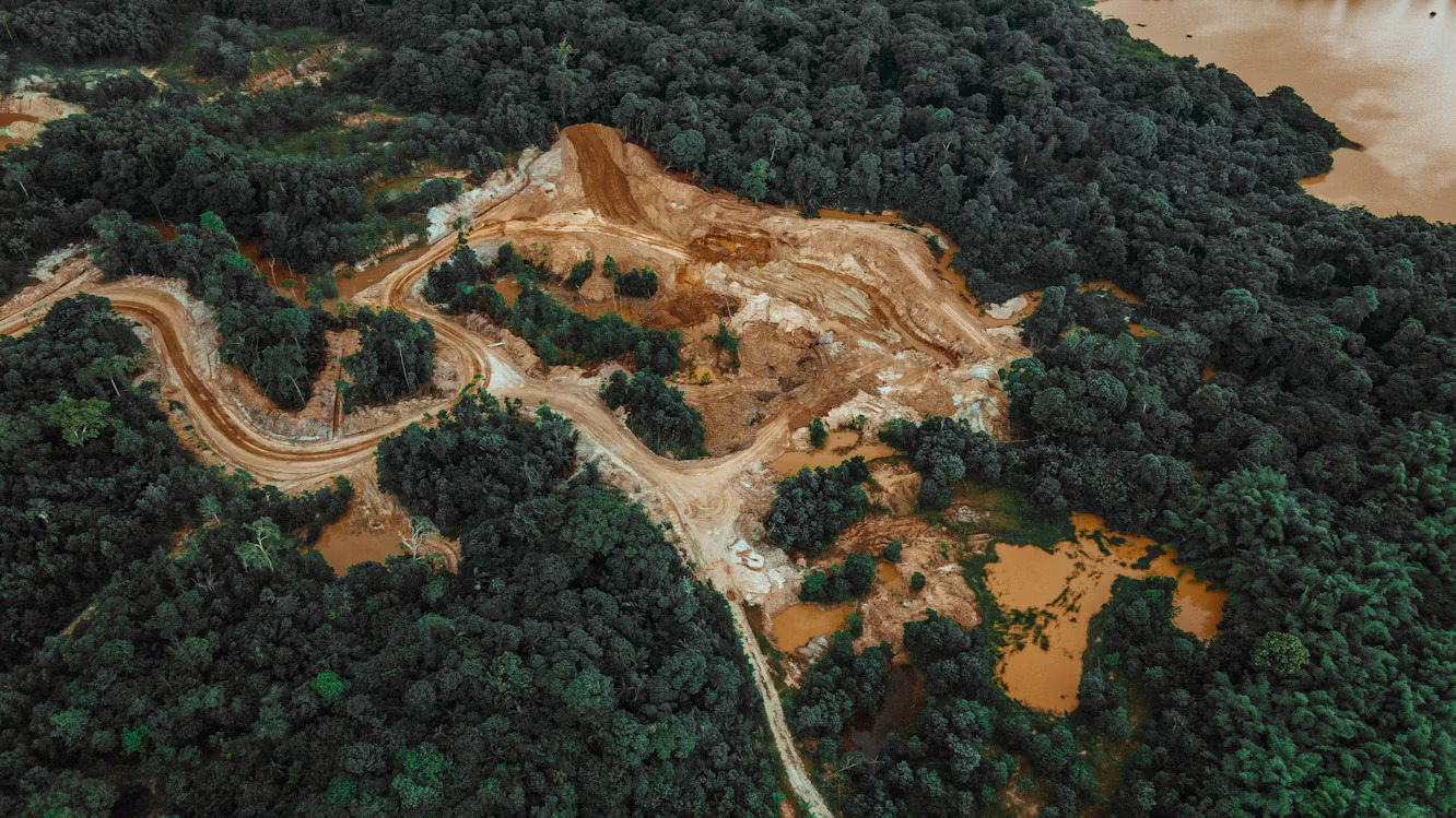 Teknologi Satelit untuk Memantau Deforestisasi secara Real-Time