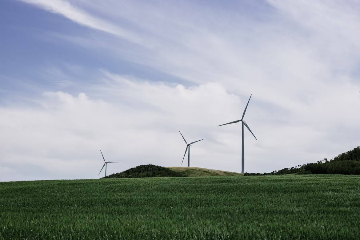 Peran Energi Terbarukan dalam Mengurangi Emisi Karbon