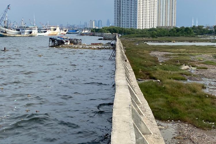 Air Laut Lebih Tinggi dari Daratan Jakarta: Apakah Jakarta Akan Tenggelam?